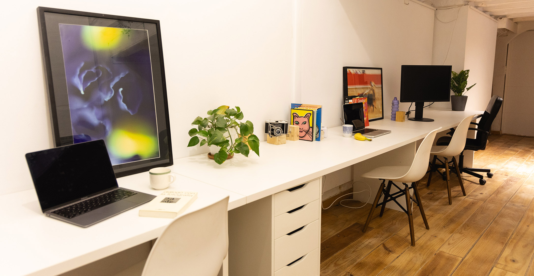 Coworking Barcelona | Camaleó